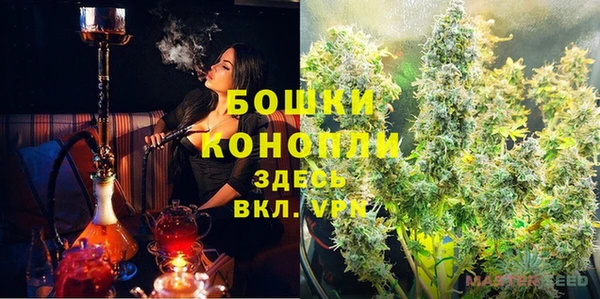 apvp Алзамай