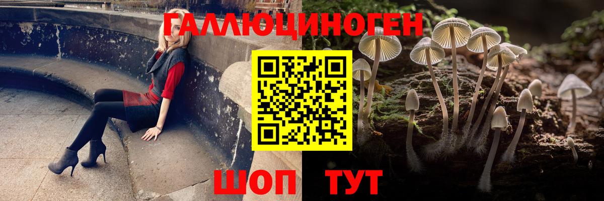 Красногорск  Псилоцибиновые грибы мухоморы  Галлюциногенные грибы Magic Shrooms  Вход с VPN 